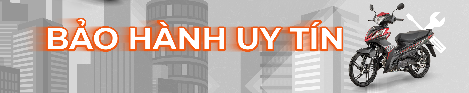 Diem Manh Xe Dien Viet Thanh 2