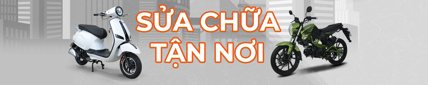 Diem Manh Xe Dien Viet Thanh 3