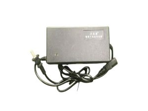 Sac Pin Xe điên 48v 2a đâu Vuong
