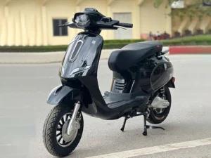 Xe Máy Điện Ally Vegas 9 Xe May Dien Ally Vegas Mau Den Bong