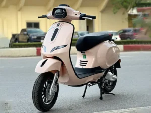 Xe May Dien Ally Vegas Mau Hong