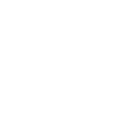 Phone Call
