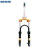 Phuoc Truoc Xe Dap Dien 22inch