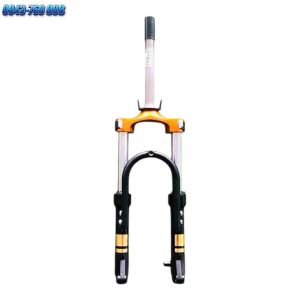 Phuoc Truoc Xe Dap Dien 22inch